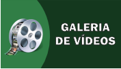 GALERIA DE VIDEOS